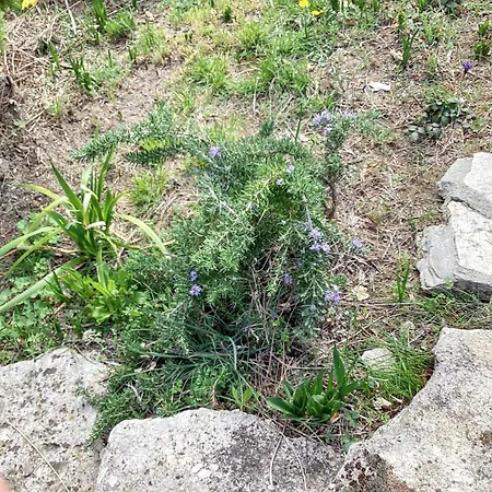 Maison De 2 Avec Jardin Clos Et Wifi A Vachères