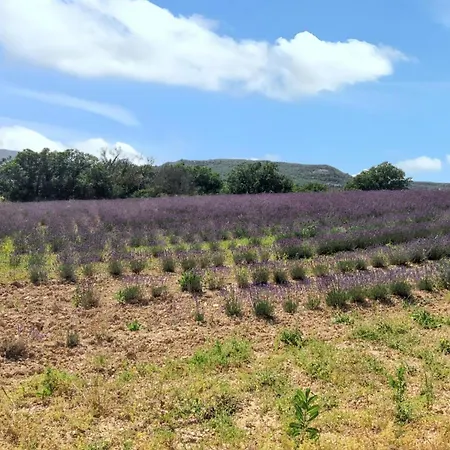 Maison Charmante A Avec Vue Sur La Montagne בית נופש