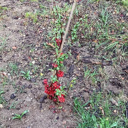 Maison De 2 Avec Jardin Clos Et Wifi A Vachères